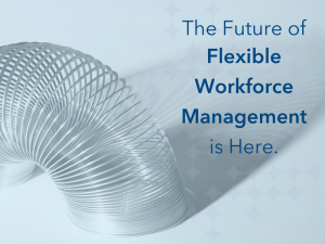 Flexible Workforce Platform - VMS+
